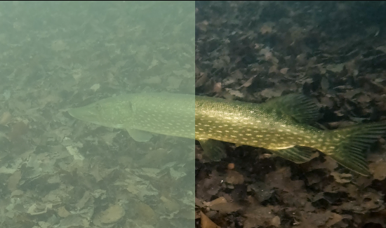 Footage without and with color grading